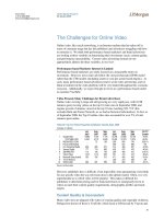 Tài liệu Nothing But Net 2009 Internet Investment Guide 9 pptx