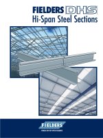 Tài liệu Hi-Span Steel Sections pdf