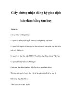 Tài liệu Giấy chứng nhận đăng ký giao dịch bảo đảm bằng tàu bay doc