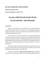 PHÂN TÍCH GIÁ TRỊ GIẢI TRÍ của cù LAO THỚI sơn – TỈNH TIỀN GIANG 