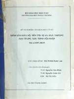 Giảm dần bảo hộ tiến tới tự do hoá thương mại trong qúa trình hội nhập 