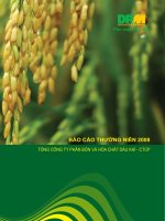 Tài liệu BÁO CÁO THƯỜNG NIÊN 2008 TỔNG CÔNG TY PHÂN BÓN VÀ HÓA CHẤT DẦU KHÍ - CTCP ppt