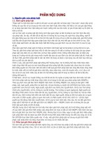 Tìm hiểu vấn đề cơ bản của pháp luật 