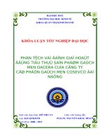 Phân tích và đánh giá hoạt động tiêu thụ sản phẩm gạch men dacera của công ty cổ phần gạch men cosevco đà nẵng 
