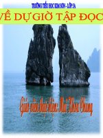 Bài giảng CAO BẰNG - Mai Khoa Chung