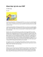 Tài liệu Khai thác lợi ích của ERP pptx