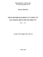 Phân bố phổ dao động của phân tử nali trong dịch chuyển điện tử 61π 11ς+ luận văn thạc sỹ vật lý 