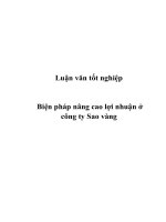Tài liệu Luận văn tốt nghiệp: Biện pháp nâng cao lợi nhuận ở công ty Sao vàng docx