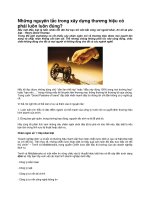 Tài liệu Những nguyên tắc trong xây dựng thương hiệu doc