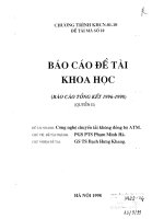Công nghệ chuyển tải không đồng bộ ATM  (quyển II) 