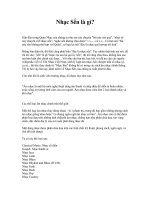 Tài liệu Nhạc Sến là gì? docx