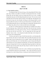 Một số giải pháp nâng cao giá trị thương hiệu bia festival của công ty TNHH bia huế 