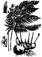 EBOOK - SƠ CẤP CỨU