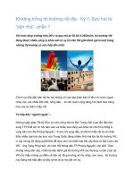 Tài liệu Khoảng trống thị trường nội địa - Kỳ 1: Sức hút từ “sân nhà” pptx