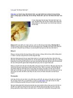 Tài liệu Làm giàu 