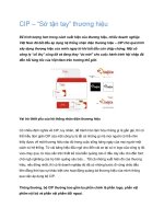 Tài liệu CIP – “Sờ tận tay” thương hiệu pptx