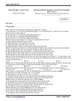 Tài liệu Đề tham khảo Đại học-Cao đẳng năm 2010 môn Vật lý M169 (Đặng Việt Hùng) pptx
