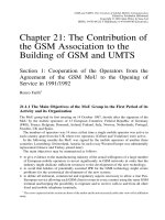 Tài liệu GSM and UMTS (P21) pptx