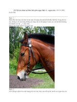 Tài liệu Các Mẫu Thiết Kế Toàn tập part 9 ppt