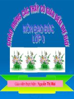 Bài giảng TÔN TRỌNG KHÁCH NƯỚC NGOÀI- ĐẠO ĐỨC 3 TIẾT 1