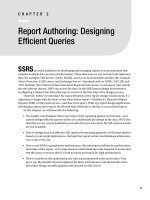 Tài liệu Apress - Pro SQL Server 2008 Reporting Services (2008)02 pptx