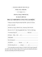 Tài liệu PHỤ LỤC HỢP ĐỒNG CUNG ỨNG LAO ĐỘNG pdf