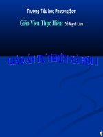 Tài liệu Bài giảng: Con cá