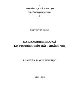 Đa dang sinh học cá lưu vực sông bến hải   quảng trị 