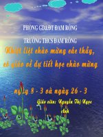 Bài soạn Luoc do Viet Nam