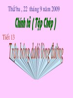 Bài soạn Chính tả Tiết 13