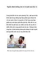 Tài liệu Nguồn dinh dưỡng cho trẻ từ phô mai (Kỳ 1) doc