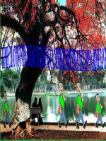 Gián án Lịch sử 5 NƯỚC NHÀ BỊ CHIA CẮT