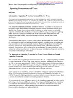 Tài liệu Lightning Protection and Trees docx