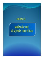 Tài liệu Chương 11: Nhiễm sắc thể và sự phân chia tế bào pptx
