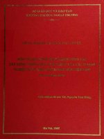 Một số giải pháp hoàn thiện công tác xây dựng chiến lược xuất khẩu của các doanh nghiệp xuất khẩu hàng may mặc việt nam  đề tài nghiên cứu khoa học cấp bộ 