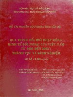 Quá trình đổi mới hoạt động kinh tế đối ngoại của việt nam từ 1986 đến 2002 thành tựu và kinh nghiệm 