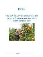Tài liệu ĐỀ TÀI 