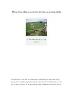 Tài liệu Phòng chống nắng nóng và sâu bệnh cho ngành nông nghiệp pptx