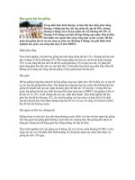 Tài liệu Bảo quản hạt lúa giống docx