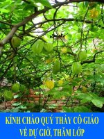 Tài liệu Đây thôn Vĩ Dạ- Hàn Mặc Tử