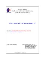 Tài liệu Báo cáo đề tài Thương mại điện tử pdf