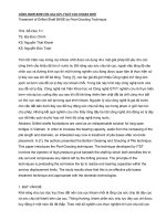 Tài liệu CÔNG NGHỆ BƠM VỮA SAU XỬ LÝ ĐÁY CỌC KHOAN NHỒI doc