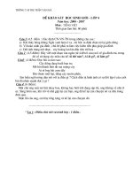 Bài giảng Đề thi học sinh giỏi khối 4-5