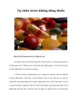 Tài liệu Tự chữa stress không dùng thuốc pdf