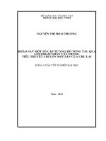 Khảo sát một số cặp từ xưng hô tương tác qua lời thoại nhân vật trong tiểu thuyết chỉ còn một lần của chu lai luận văn tốt nghiệp đại học 
