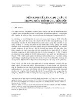 Tài liệu Nền kinh tế lúa gạo châu Á trong quá trình chuyển đổi doc