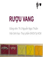 Bài giảng tìm hiểu rượu vang pháp 