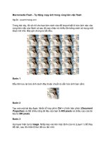 Tài liệu Macromedia Flash - Tự động copy ảnh trong vùng làm việc flash pdf