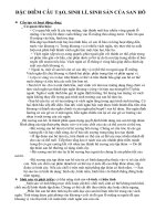 Bài giảng ruot khoang