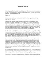 Tài liệu Brôm (Br) và Iốt (I) B pptx